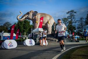 BIB: 
                            <button type="button" onclick="openModal(26541783)" class="btn btn-primary btn-sm float-right btn-popup" data-toggle="modal" data-target=".modal-high-quality">
                        <i class="fas fa-shopping-cart"></i> Add to Cart
                    </button>
                                            <button type="button" onclick="isThisMe(26541783, true)" class="btn btn-success btn-sm float-right btn-popup btn-isme hidden" data-toggle="tooltip" data-placement="bottom" title="นี่คือรูปของคุณใช่ไหม คลิกที่นี่เพื่อเอาเข้าอัลบั้ม">
                        <i class="fas fa-plus"></i> Add to album
                    </button>
                    <button type="button" onclick="isThisMe(26541783, false)" class="btn btn-warning btn-sm float-right btn-popup btn-isnotme hidden">
                        <i class="fas fa-ban"></i> Remove from album
                    </button>